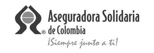 clientes-heinsohn-AseguradoraSolidaria